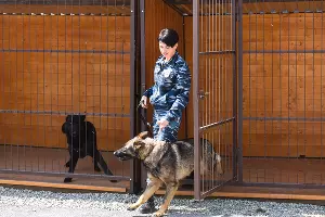  &copy;&nbsp;Фото Елены Синеок, Юга.ру