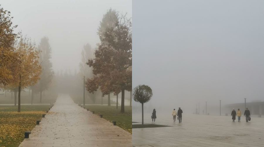  © Коллаж из фото Марии Журавлевой