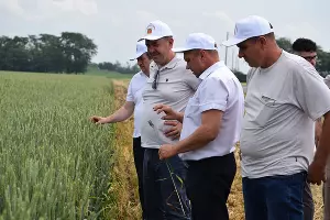  &copy;&nbsp;Фото Инны Сикорской, предоставлено пресс-службой администрации Тбилисского района
