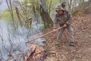  © Фото пресс-службы Сочинского национального парка