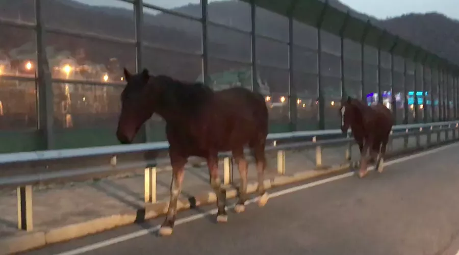  &copy;&nbsp;Скриншот видео из канала youtube.com/channel/UCQIS2GgWQspJDWT2LnPec9Q