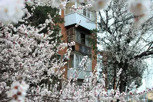  &copy;&nbsp;Фото Марины Солошко, Юга.ру