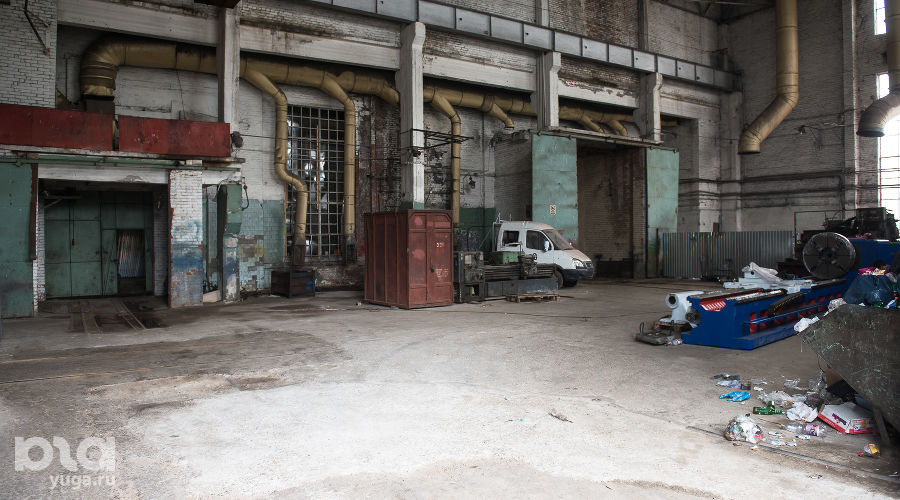  © Фото Елены Синеок, Юга.ру