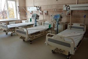  © Фото Елены Малышевой, Юга.ру