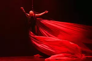  &copy;&nbsp;Скриншот фото с сайта dancetheatrefora.ru