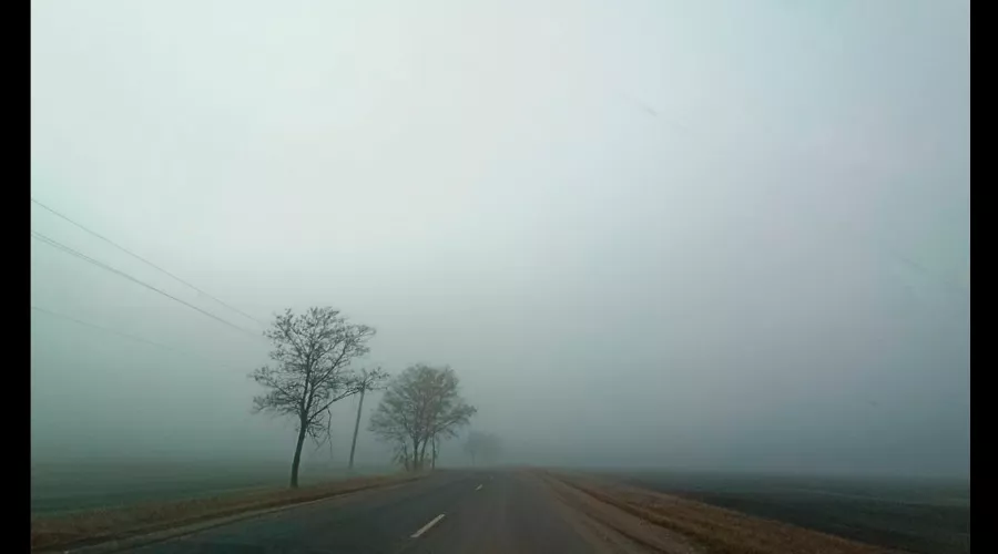 Эри Егина, «Меланхолия» &copy;&nbsp;Скриншот фото из письма от пресс-службы музея имени Коваленко