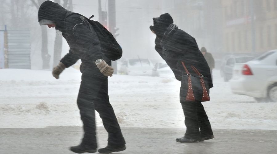  &copy;&nbsp;Фото Андрея Бойко, Юга.ру