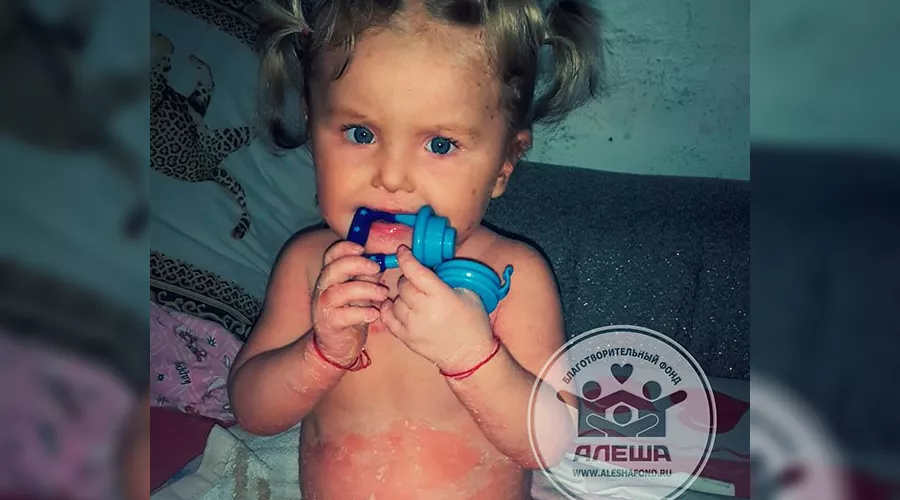  &copy;&nbsp;Фото с сайта aleshafond.ru