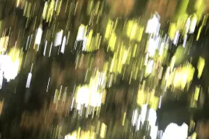  &copy;&nbsp;Фото из личного архива Аси Большовой