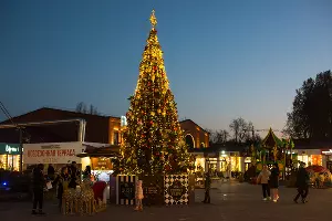  &copy;&nbsp;Фото Елены Синеок, Юга.ру