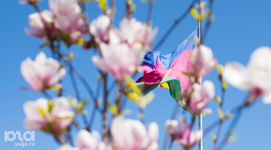 Как цветет Краснодар весной © Фото Елены Синеок, Юга.ру