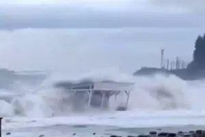  &copy;&nbsp;Скриншот видео из телеграм-канала &laquo;Типичный Сочи&raquo;, t.me/sochitypical