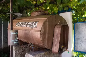  &copy;&nbsp;Фото Елены Синеок, Юга.ру