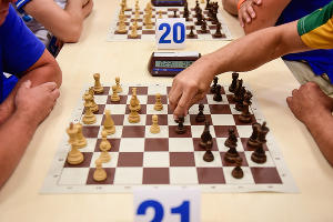  © Фото Елены Синеок, Юга.ру