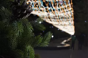  &copy;&nbsp;Фото Alexander S, unslpash.com