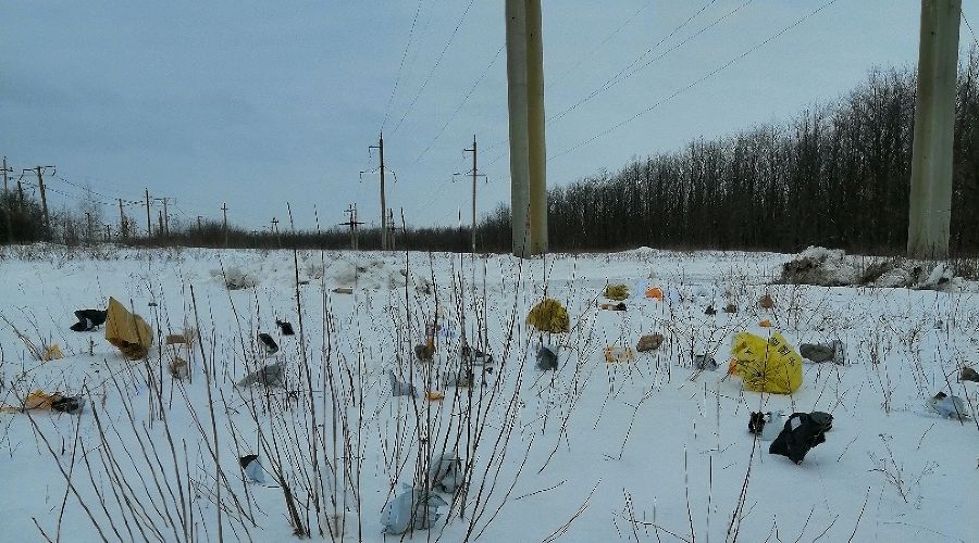  &copy;&nbsp;Фото со страницы vk.com/elec_online