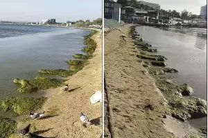  &copy;&nbsp;Коллаж из скриншотов фото из телеграм-канала &laquo;Юрий Озаровский Анапа Витязево Джемете&raquo;