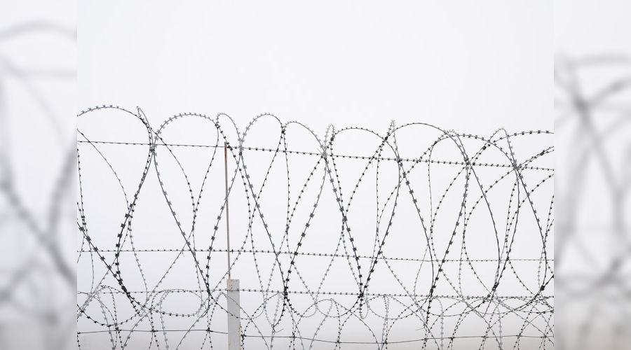  © Фото Елены Синеок, Юга.ру