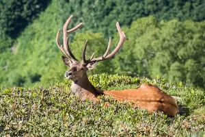  &copy;&nbsp;Фото с сайта kgpbz.ru