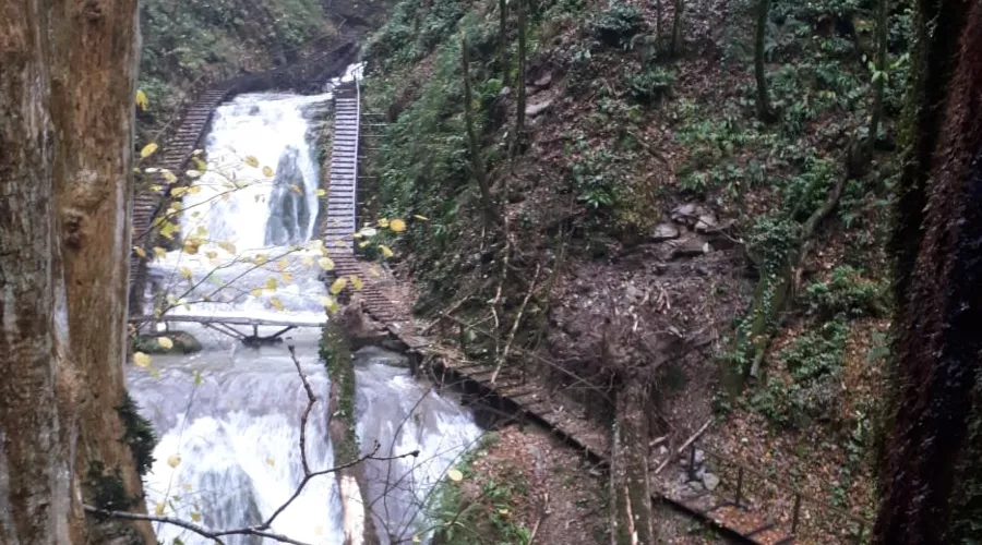  &copy;&nbsp;Фото с сайта npsochi.ru