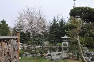 Японский сад весной &copy;&nbsp;Фото Марины Солошко, Юга.ру