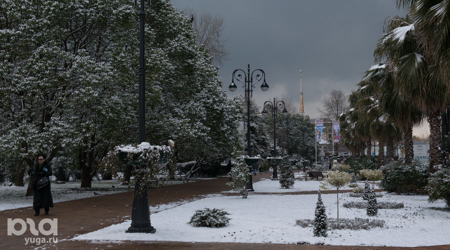  © Фото Нины Зотиной, Юга.ру