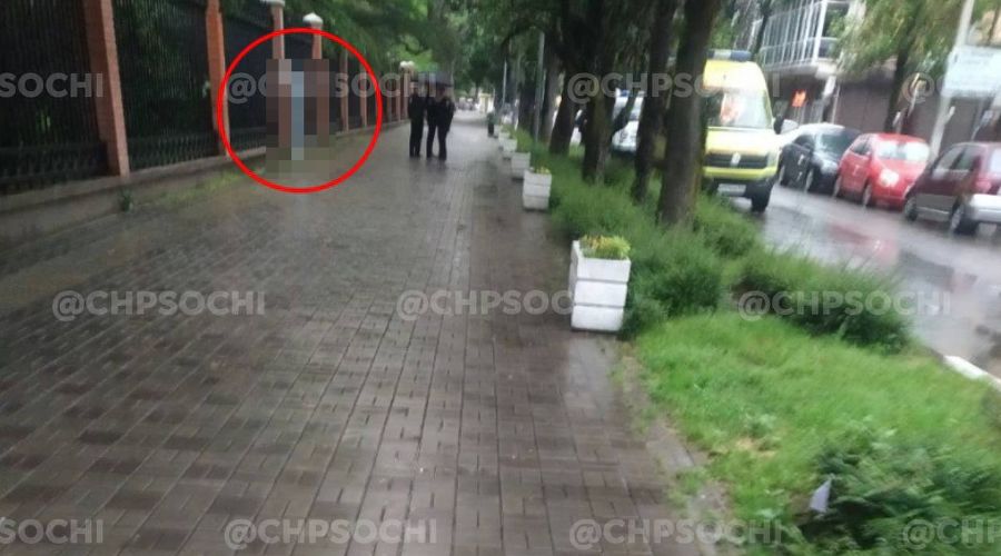  © Фото телеграм-канала «ЧП Сочи», t.me/chp_sochi