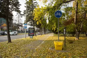  &copy;&nbsp;Фото Елены Синеок, Юга.ру