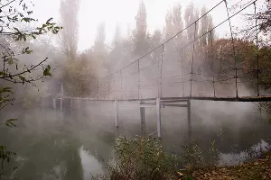 Туман в парке «Солнечный остров» &copy;&nbsp;Фото Елены Синеок, Юга.ру