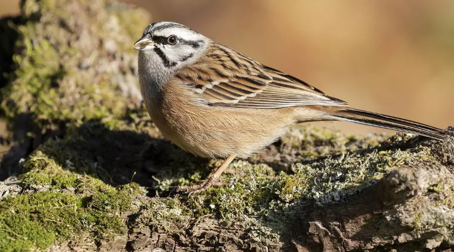  &copy;&nbsp;фото wirestock, сайт freepik.com