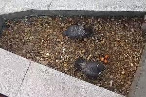  &copy;&nbsp;Фото Эльзы Габбасовой