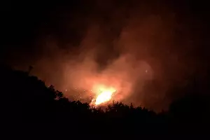 Пожар в заповеднике «Утриш» &copy;&nbsp;Фото Виталия Кавтарадзе