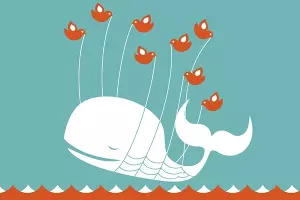  &copy;&nbsp;Фото с сайта twitter.com