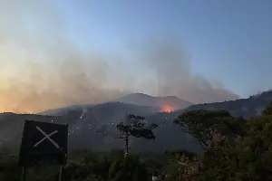 Пожар в заповеднике «Утриш» &copy;&nbsp;Фото Виталия Кавтарадзе