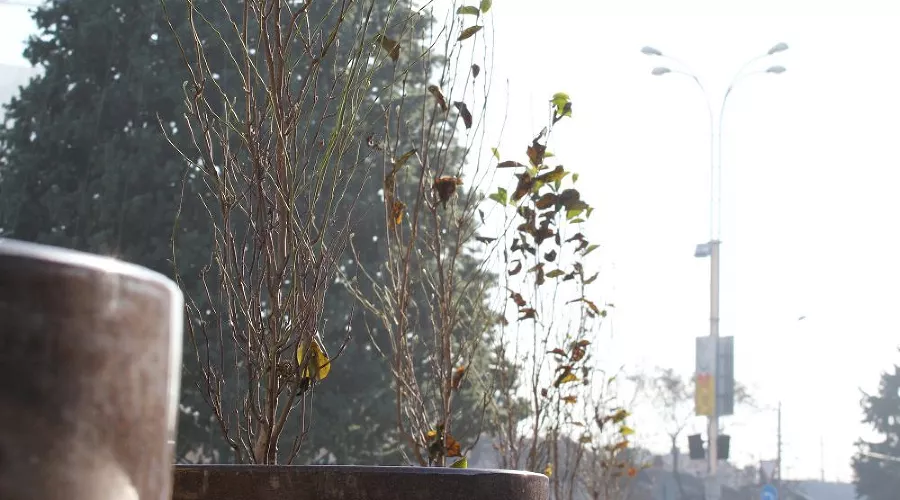  &copy;&nbsp;Фото пресс-службы администрации Краснодара