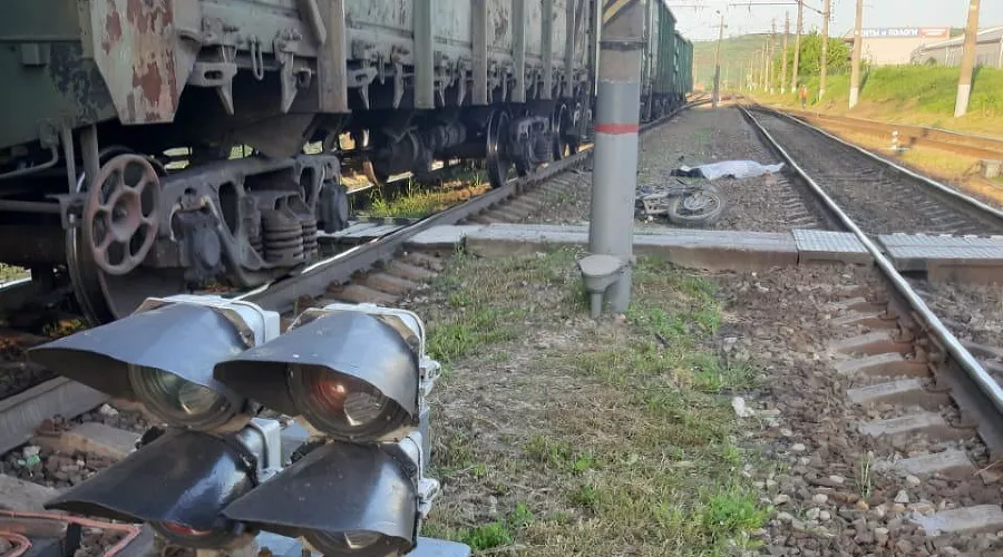  &copy;&nbsp;Фото пресс-службы УТ МВД по ЮФО