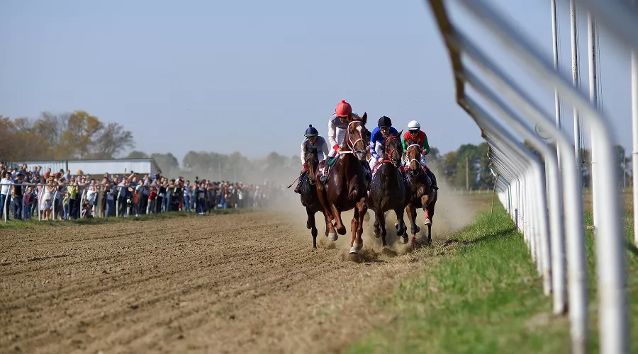  &copy;&nbsp;Фото пресс-службы администрации Адыгеи