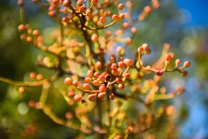 Суджукская лагуна и ее окрестности &copy;&nbsp;Фото Елены Синеок, Юга.ру