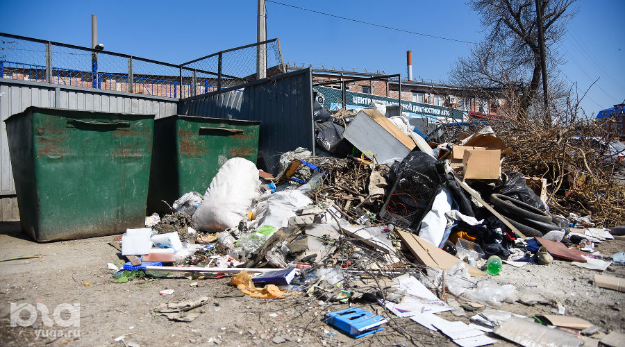 Проблемы с вывозом мусора в Краснодаре © Фото Елены Синеок, Юга.ру
