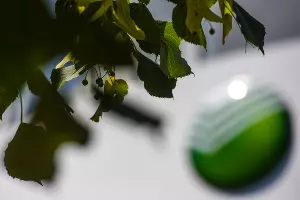 Сбербанк &copy;&nbsp;Фото Елены Синеок, Юга.ру