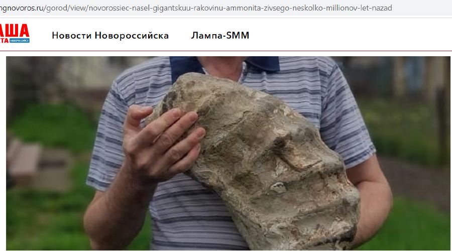  &copy;&nbsp;Скриншот ngnovoros.ru