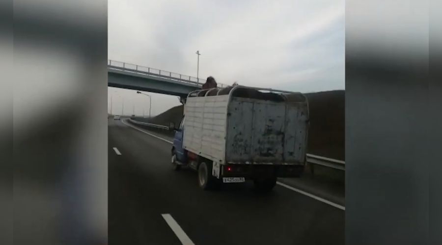  © Скриншот видео пресс-службы ГУ МВД России по Краснодарскому краю