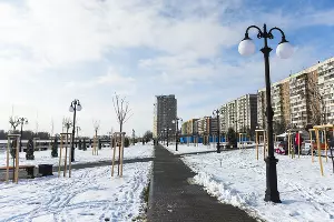 Новая аллея в Юбилейном микрорайоне Краснодара &copy;&nbsp;Фото Елены Синеок, Юга.ру