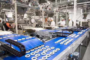 Открытие «Кубанского комбината хлебопродуктов» в Краснодаре &copy;&nbsp;Фото Елены Синеок, Юга.ру