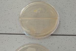  &copy;&nbsp;Фото Елены Малышевой, Юга.ру