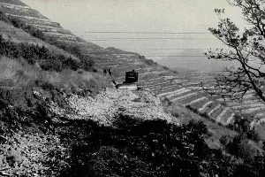  &copy;&nbsp;Фото предоставлено пресс-службой администрации Геленджика