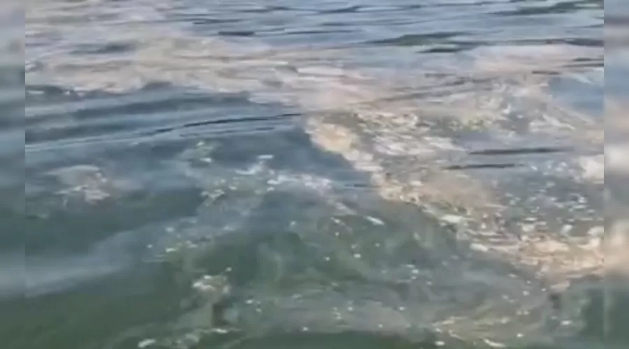  &copy;&nbsp;Кадр из видео &laquo;ЧП Новороссийск&raquo;, t.me/chpnvrsk