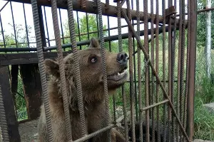  &copy;&nbsp;Фото из группы &laquo;Ростов Главный - новости Ростова-на-Дону&raquo; &laquo;ВКонтакте&raquo;, vk.com/rostovnadonu