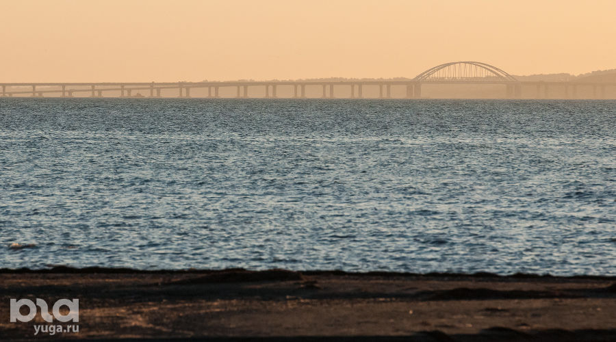  © Фото Елены Синеок, Юга.ру