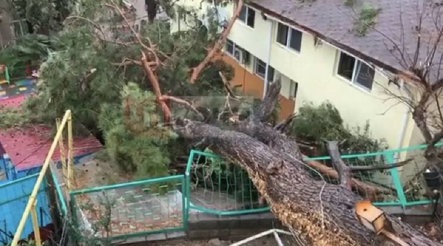  © Скриншот видео из телеграм-канала "ЧП Сочи", t.me/chp_sochi